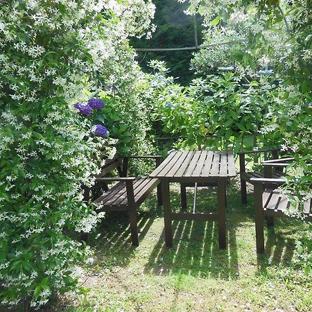 Villa Banana Каннобио Экстерьер фото